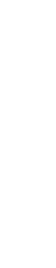 豊かな海と大地のめぐみリサ・フルーツトマト
